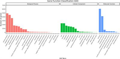 Full-Length Transcriptome Analysis Provides New Insights Into the Diversity of Immune-Related Genes in Portunus trituberculatus